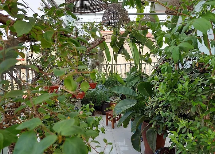 Alleyhomestay- Trần Đại Nghĩa